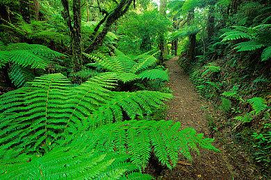 《战锤40K：星际战士2》新视频和截图 打虫族太爽了